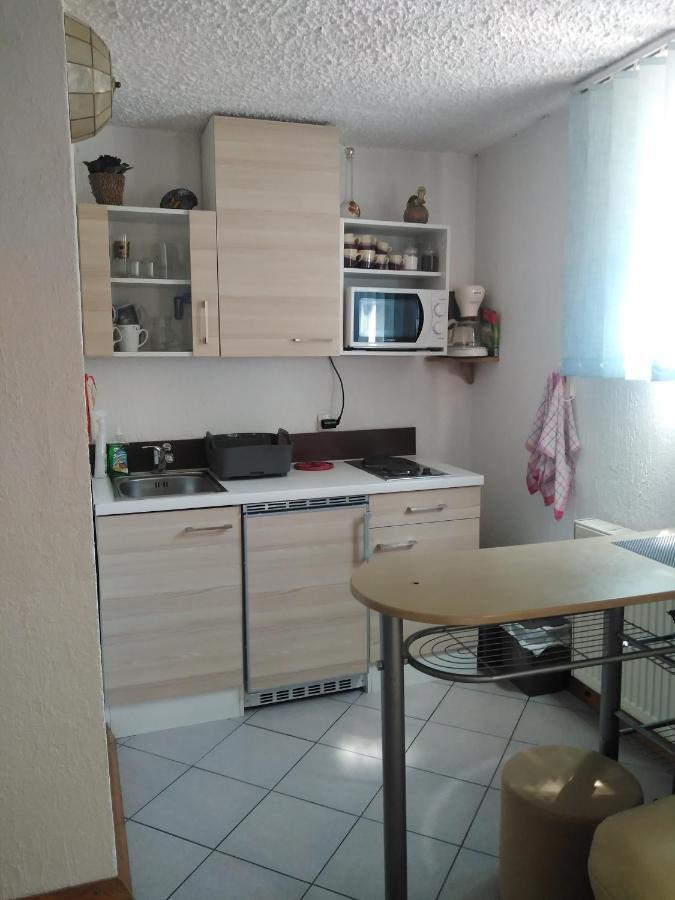 Apartments Irena 크라니스카고라 외부 사진