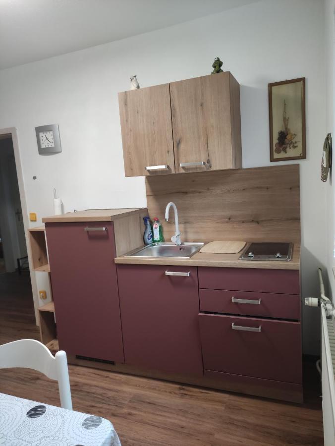 Apartments Irena 크라니스카고라 외부 사진